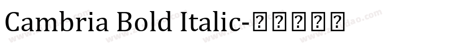 Cambria Bold Italic字体转换